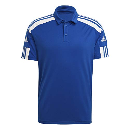 adidas Herren Sq21 Polohemd, Team Royal Blue/White, L EU