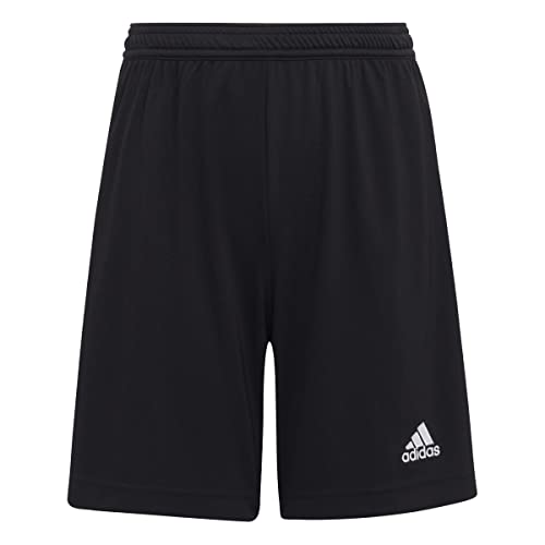 adidas Jungen ENTRADA22 Fußball-Shorts, Schwarz, 13-14 (164)