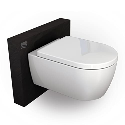 Spülrandloses Wand-WC NT2039 mit SoftClose-Deckel (Absenkautomatik), Toilette aus Sanitärkeramik mit abnehmbareren WC-Sitz, Tiefspül-WC, D-Form – Hänge-WC mit LED-Nachtlicht-Deckel