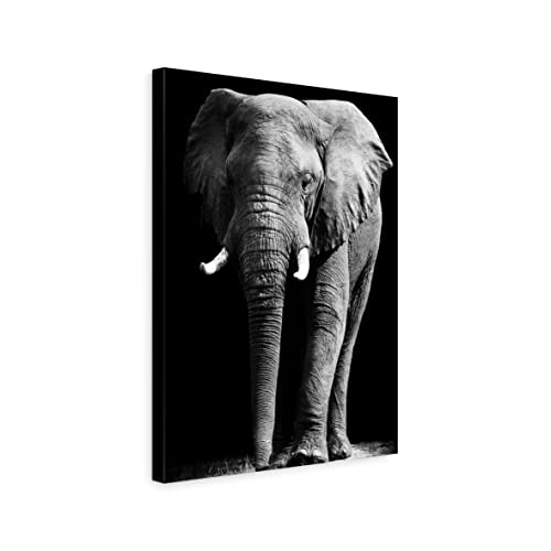 ecowalls Bilder Elefanten - 60x80 cm - Vlies Leinwandbild - Leinwand Bilder - Wandbilder Wohnzimmer, Schlafzimmer Modern - Wandbild XXL - Bilder Wohnzimmer, Schlafzimmer