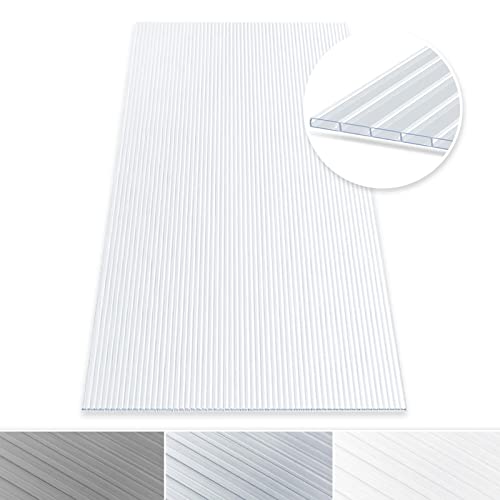 Floordirekt Hohlkammerplatte - Stegplatten Doppelstegplatten aus Polycarbonat - Hohlkammerplatten für Garten, Gewächshaus & Modellbau - 60,5 x 121 cm (Stärke: 4,5 mm, Transparent)