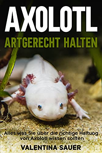 Axolotl artgerecht halten: Alles was Sie über die richtige Haltung von Axolotl wissen sollten