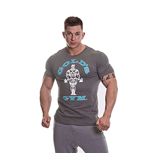 Gold's Gym Herren Muscle Joe T-Shirt Kurzarm Workout Premium Training Fitness Gym Sport T-Shirt L Grau meliert/Türkis