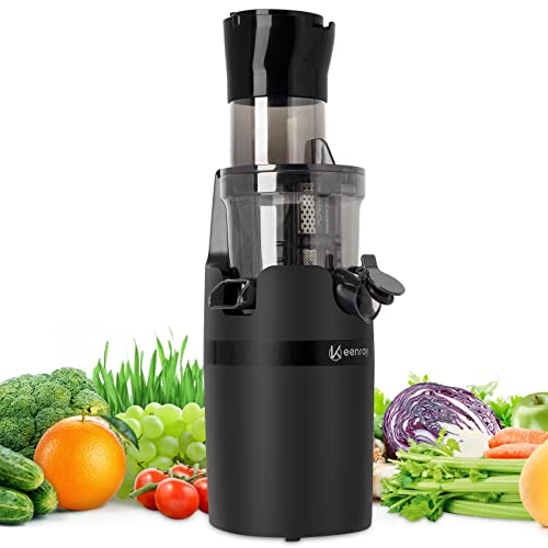 Slow Juicer Entsafter, Klein Gemüse und Obst Profi Entsafter, Gemüse und Obst Testsieger Profi Juicer Entsafter, Umkehrfunktion, Allround Entsafter elektrisch (EL18)