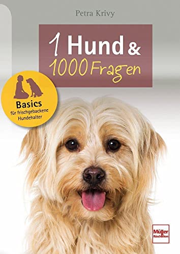 Ein Hund und 1000 Fragen: Basics für frischgebackene Hundehalter