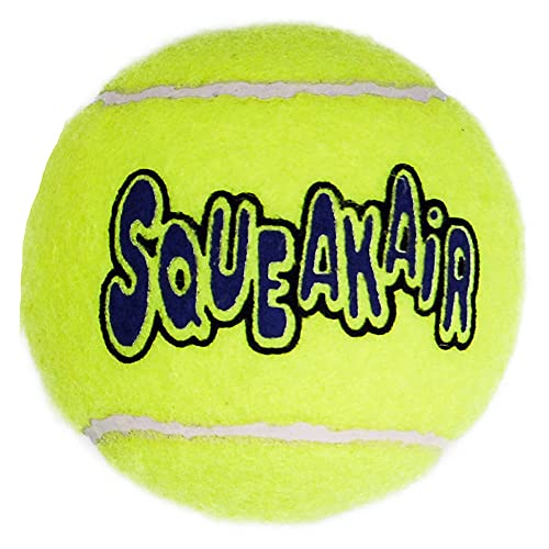 KONG – Squeakair Ball – Premium-Hundespielzeug, Quietschende Tennisbälle, Zahnschonend – Für Mittelgroße Hunde