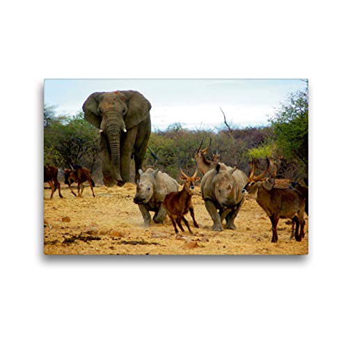 Premium Textil-Leinwand 45 x 30 cm Quer-Format Elefant und andere afrikanische Tiere | Wandbild, HD-Bild auf Keilrahmen, Fertigbild auf hochwertigem Vlies, Leinwanddruck von Eduard Tkocz