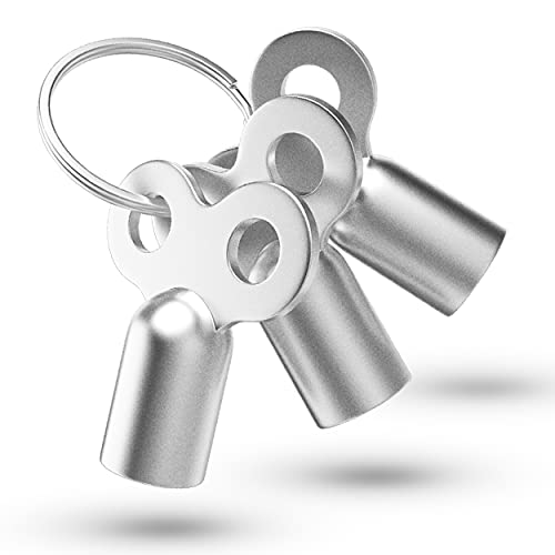 3x Entlüftungsschlüssel | Universal - alle Heizkörper | mit Ring zum Aufhängen | 5mm | Zinklegierung | Schlüssel zum Entlüften | Lüften aller Heizungen möglich | radiator key Entlüfter Heizung