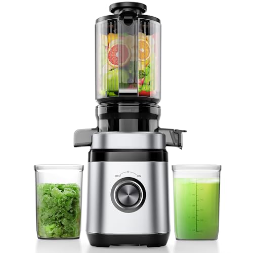 OYLCDI Entsafter, Slow Juicer, Entsafter Gemüse und Obst Testsieger mit | 350W DC-Ultrasilent-Motor | 110MM Einfüllöffnung | 2 Tassen | Saftpresse Elektrisch,Silber