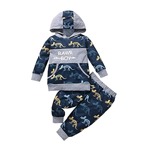 2-teiliges Bekleidungsset Kleinkind Baby Mädchen Jungen Herbst Winter Outfits Dinosaurier Bedruckt Hoodie Sweatshirt Langarm Top + Lange Hosen Kleidung Sets für 6 Monate - 4 Jahre (Marine, 110)