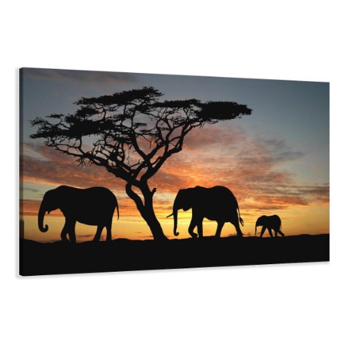 bestpricepictures 120 x 80 cm Bild auf Leinwand Afrika Elefant 5066-SCT deutsche Marke und Lager - Die Bilder/das Wandbild/der Kunstdruck ist fertig gerahmt