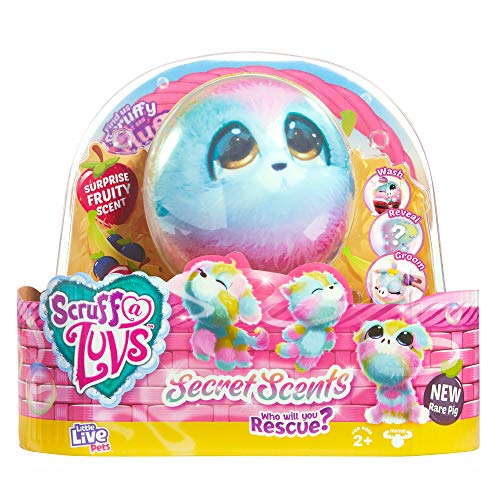 Scruff-a-Luvs Little Live 30059 Duftüberraschung Reveal Regenbogen Plüsch Kuscheltier Katze, Hund oder seltenes Schwein