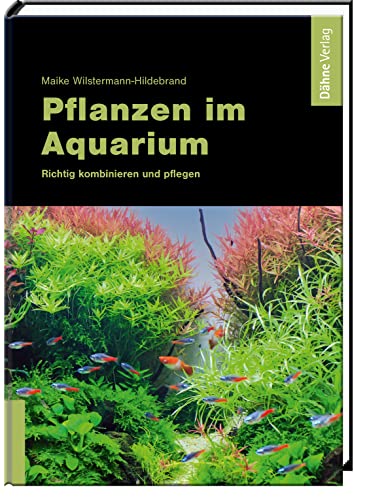 Pflanzen im Aquarium: Richtig kombinieren und pflegen