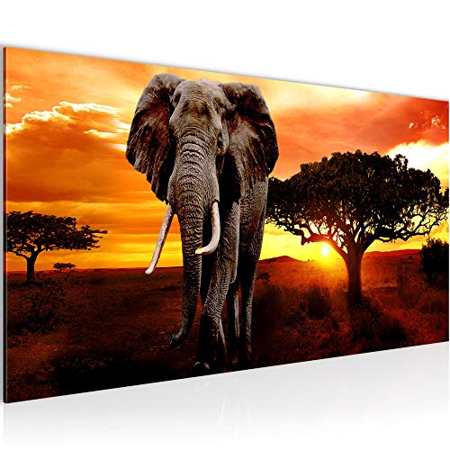 Wandbild Afrika Elefant 1 Teilig Modern Bild auf Vlies Leinwand Wohnzimmer Flur Afrikanische Motive Orange 001212a