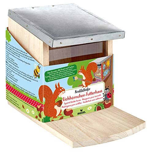 moses. 16120 Krabbelkäfer Eichhörnchen-Futterhaus, Futterstation für Kinder zum Bemalen und selbst gestalten, aus Holz mit 8 Acrylfarben und 1 Pinsel, Zum Beobachten der Wildtiere im Garten