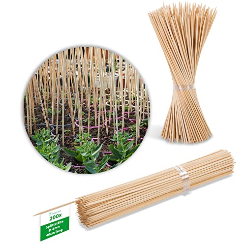 Novatool 200x Splittstäbe 40 cm x 4 mm I Natur I Rankhilfe Tomaten Stangen Bambus Pflanzstäbe Holz stäbe für orchideen Pflanzenstock Blumenstangen