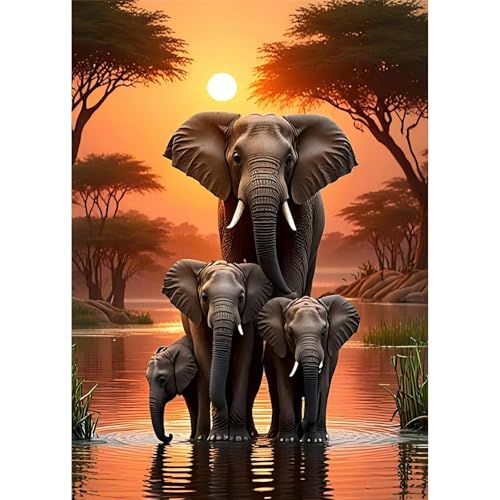 TOSTOG Diamond Painting für Erwachsene Anfänger,5D Diamant Painting Kits Bilder Elefant DIY Full Drill Diamant Malerei Set 30x40cm für Wanddekor