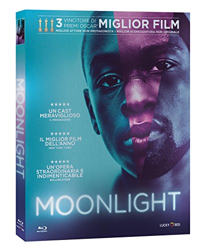 Blu-Ray - Moonlight (1 Blu-ray)