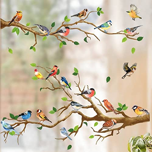 WandSticker4U®- XXL Fensterbilder Frühling VOGEL-TREFFEN selbstklebend (140x60 cm) I Fensteraufkleber Vögel auf Ast Fenstersticker Wohnzimmer Schlafzimmer wiederverwendbar GROß
